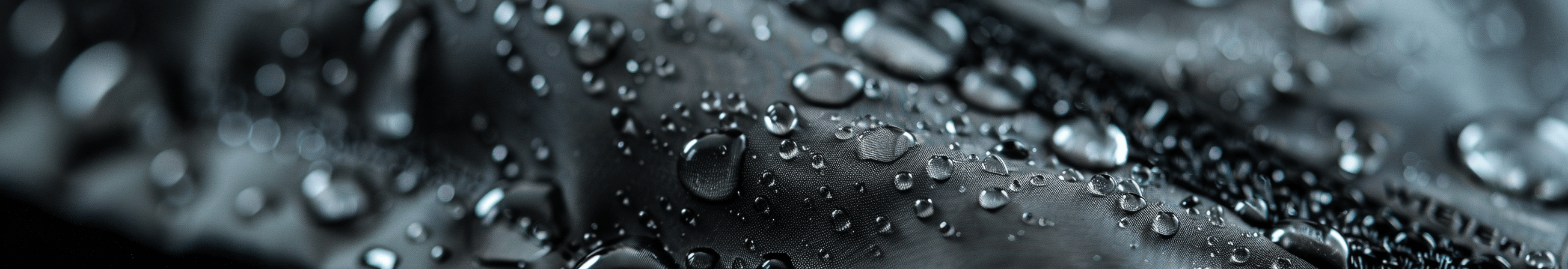 Blatt, Pflanze, Tröpfchen